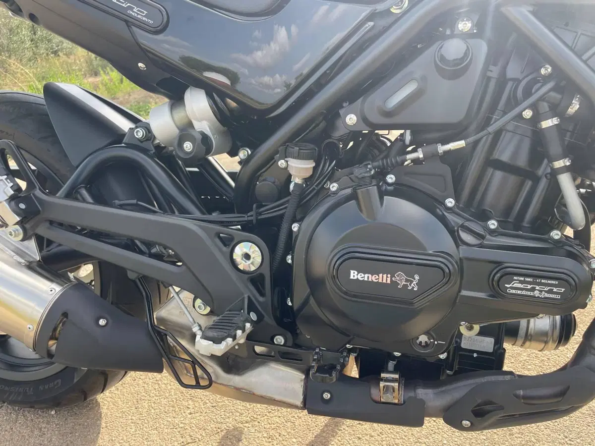 Benelli Leoncino 500 (2021 - 25) (7)