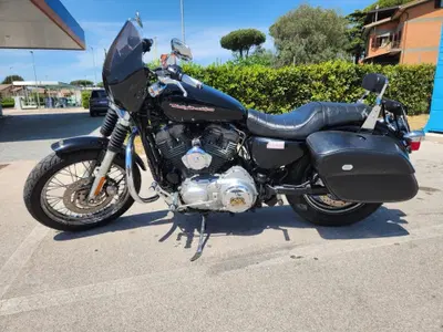 Harley-Davidson 883 (2006 - 07) - XL usata