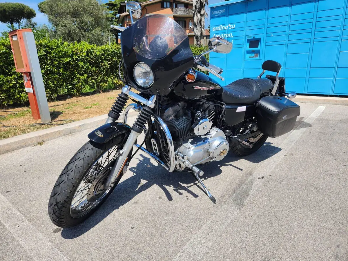 Harley-Davidson 883 (2006 - 07) - XL (2)