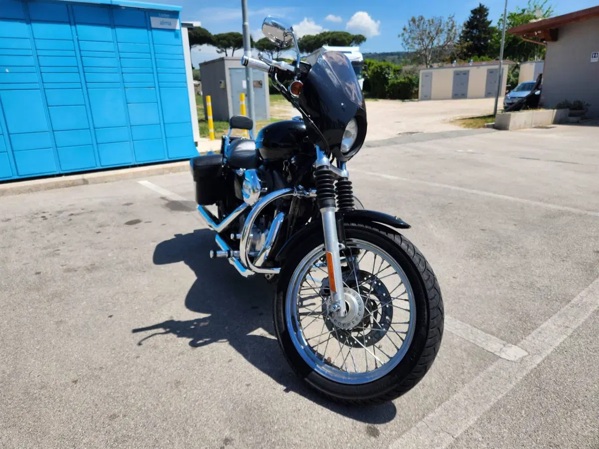 Harley-Davidson 883 (2006 - 07) - XL (3)