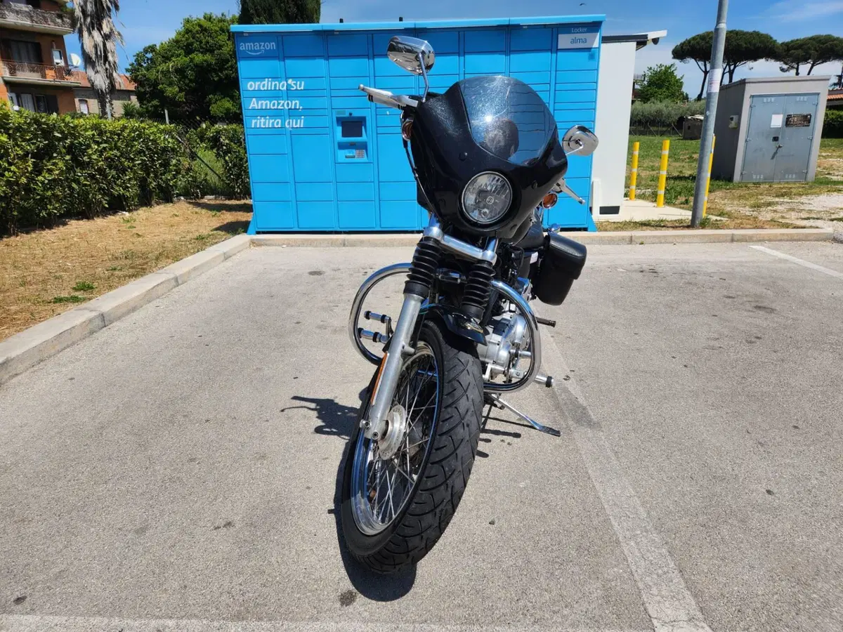 Harley-Davidson 883 (2006 - 07) - XL (4)
