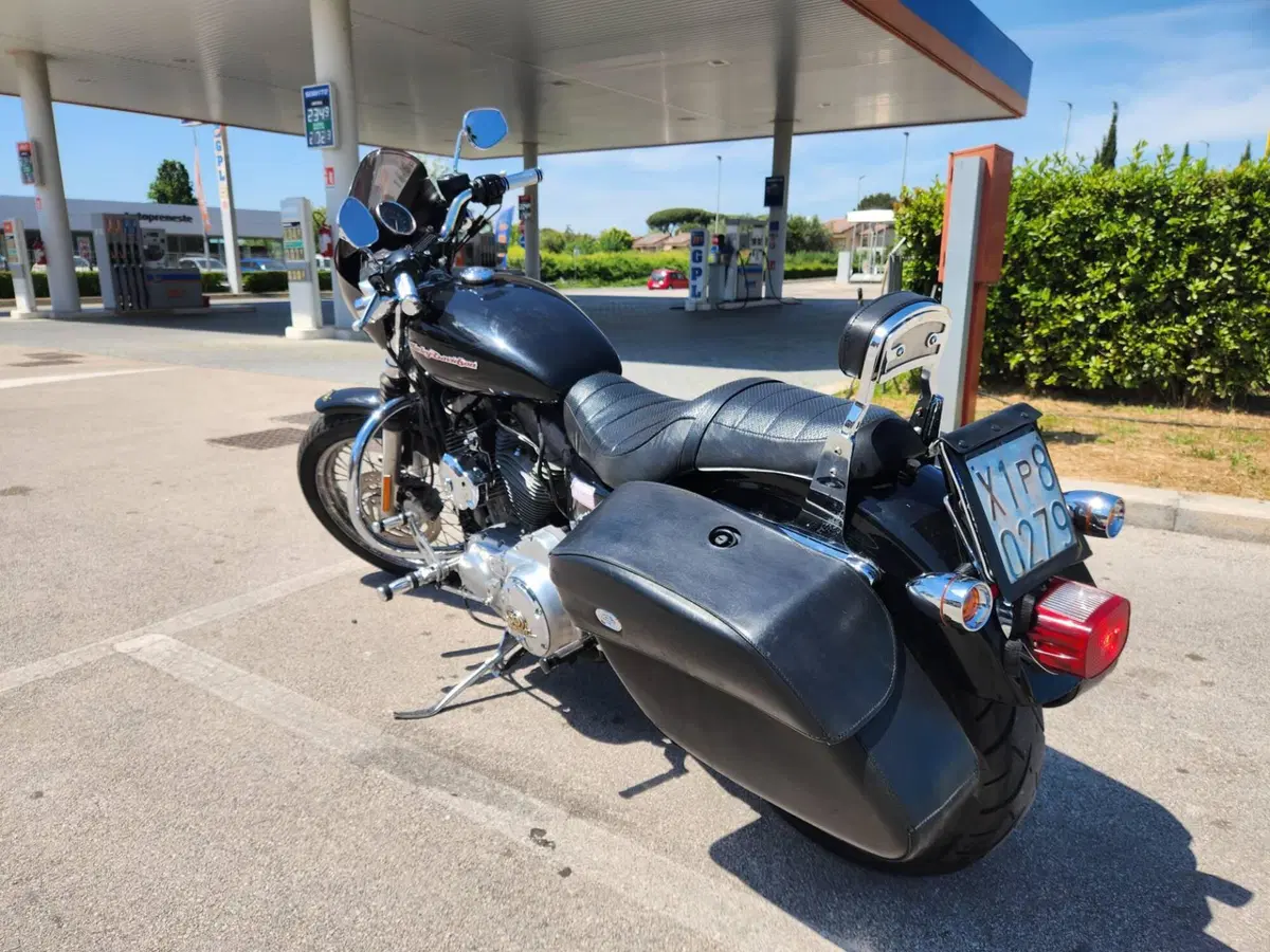 Harley-Davidson 883 (2006 - 07) - XL (5)