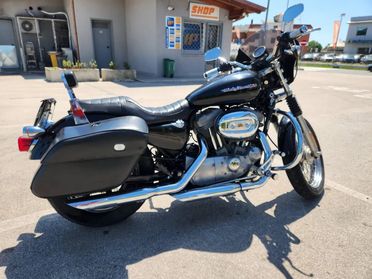 Harley-Davidson 883 (2006 - 07) - XL (7)