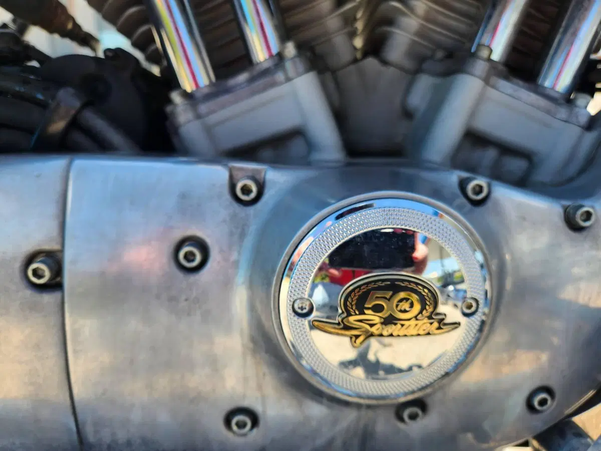 Harley-Davidson 883 (2006 - 07) - XL (12)
