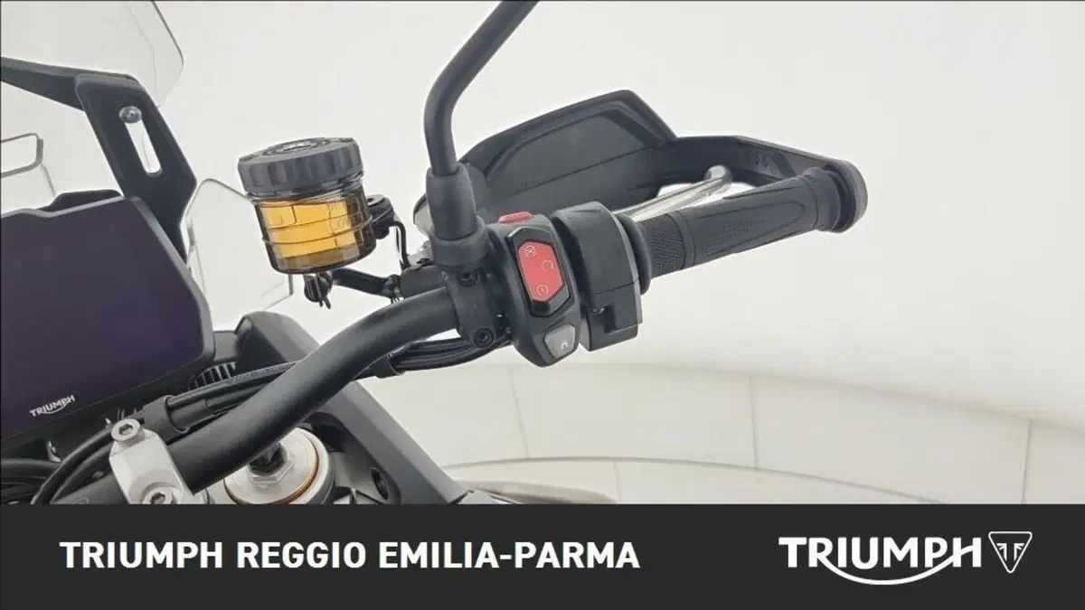Triumph Tiger 900 Desert Special Edition (2026) (9)