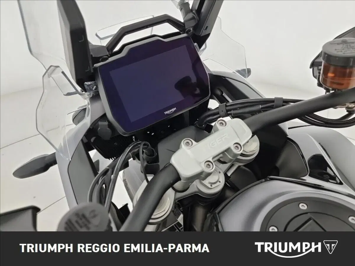 Triumph Tiger 1200 GT Pro (2024 - 26) (9)