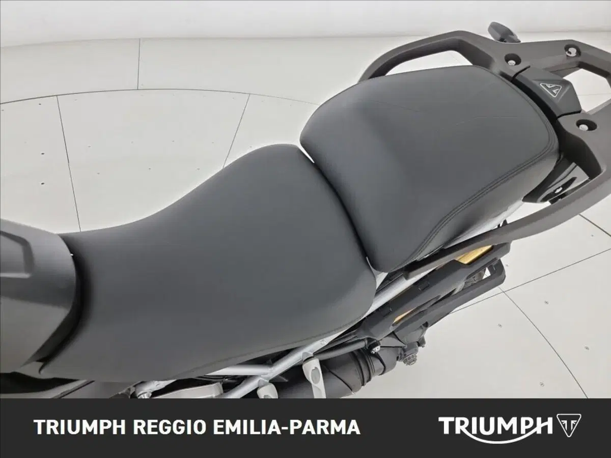 Triumph Tiger 1200 GT Pro (2024 - 26) (14)