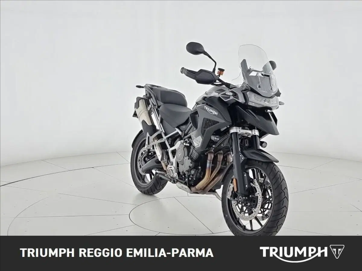 Triumph Tiger 1200 GT Pro (2024 - 26) (7)