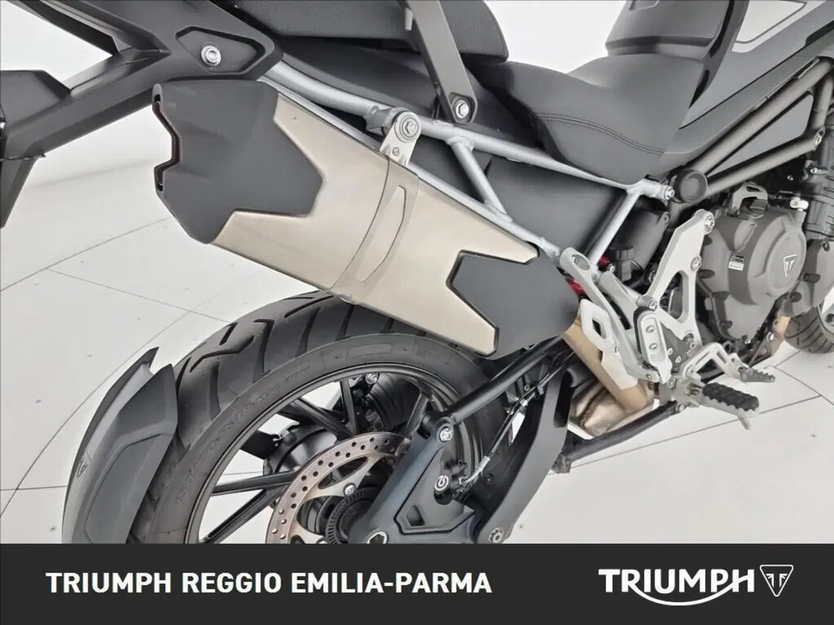 Triumph Tiger 1200 GT Pro (2024 - 26) (18)