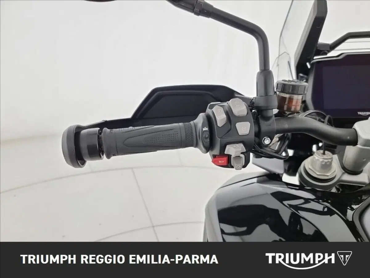 Triumph Tiger 1200 GT Pro (2024 - 26) (11)