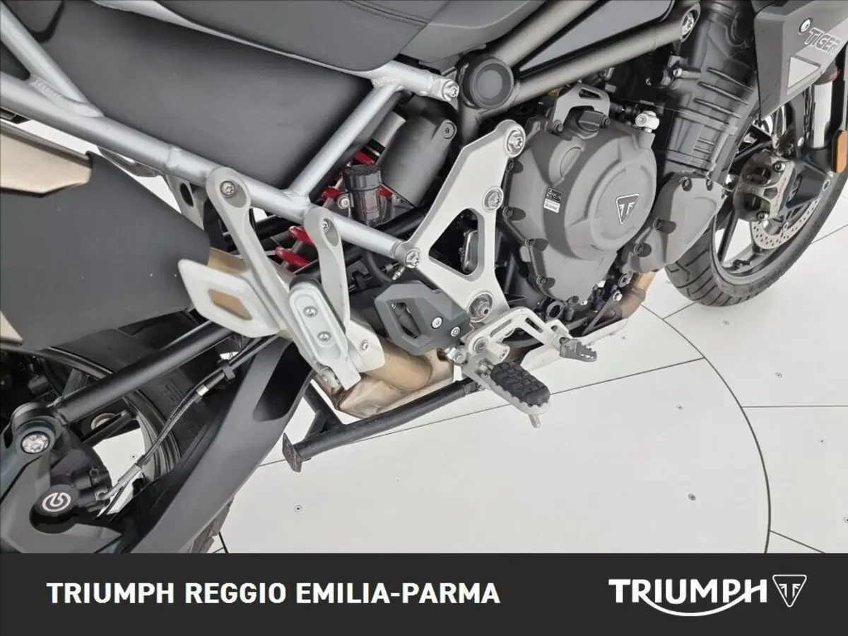 Triumph Tiger 1200 GT Pro (2024 - 26) (19)
