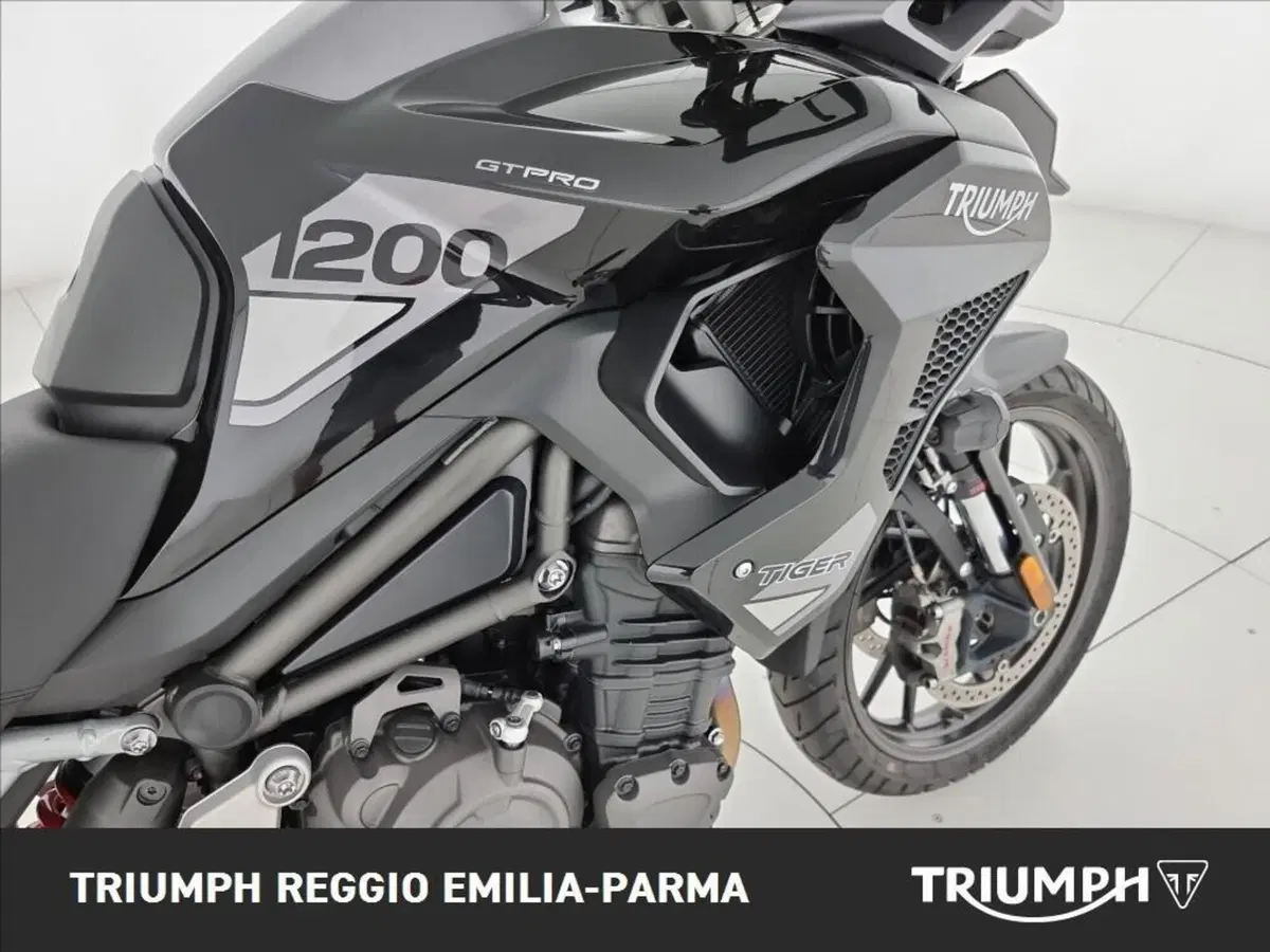 Triumph Tiger 1200 GT Pro (2024 - 26) (20)