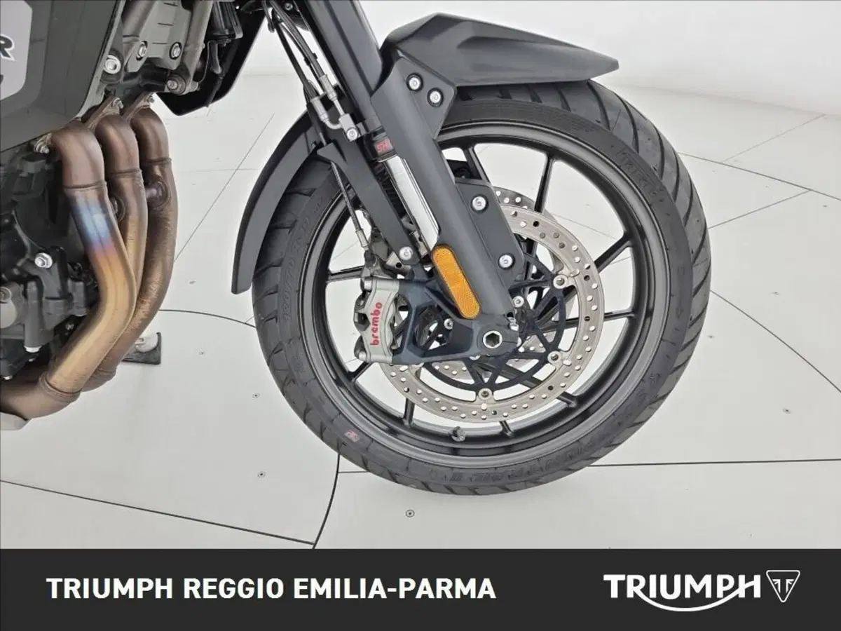 Triumph Tiger 1200 GT Pro (2024 - 26) (21)
