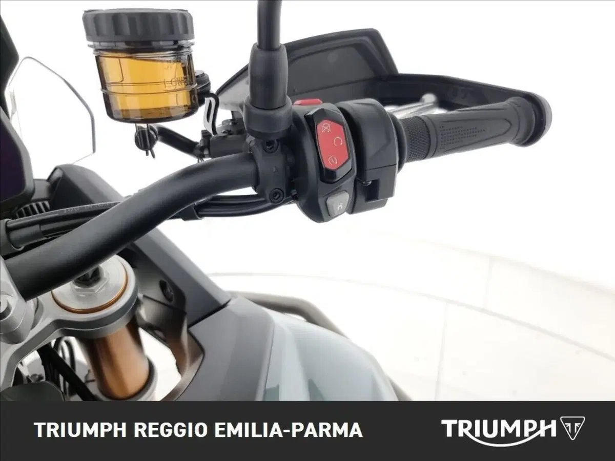 Triumph Tiger 900 Desert Special Edition (2026) (10)