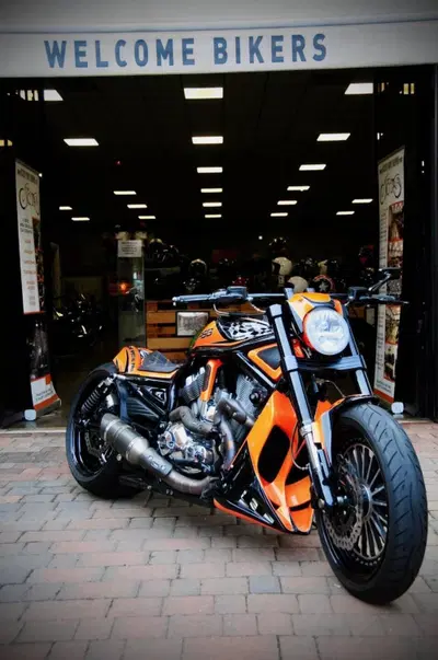 Harley-Davidson 1250 Night Rod Special (2008 - 17) - VRSCDX usata
