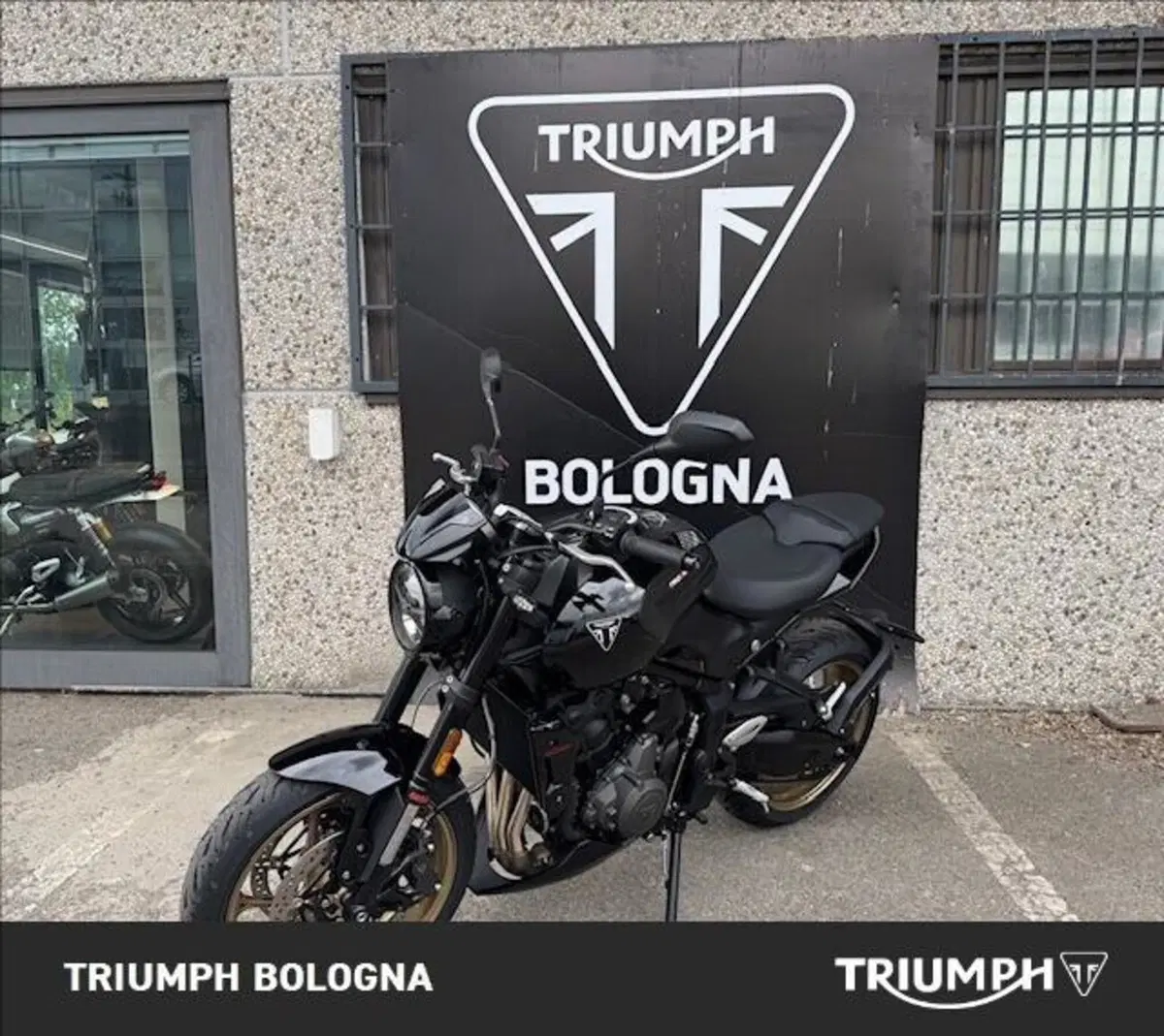 Triumph Trident 800 (2026) (8)