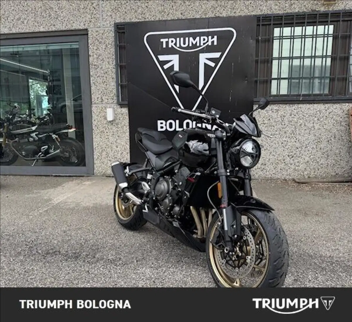 Triumph Trident 800 (2026) (7)