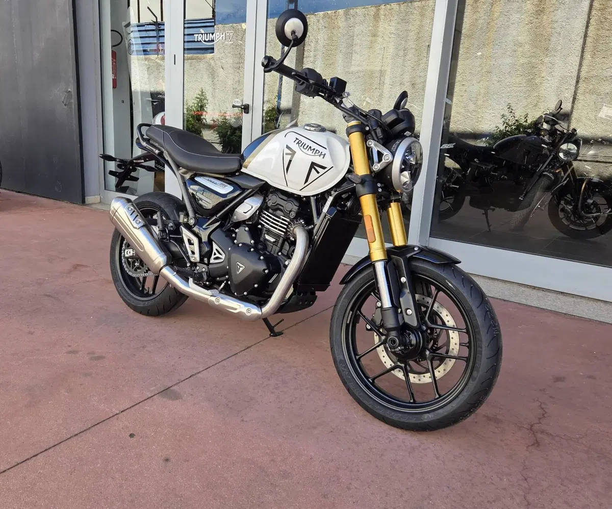 Triumph Speed 400 (2024 - 26) (11)