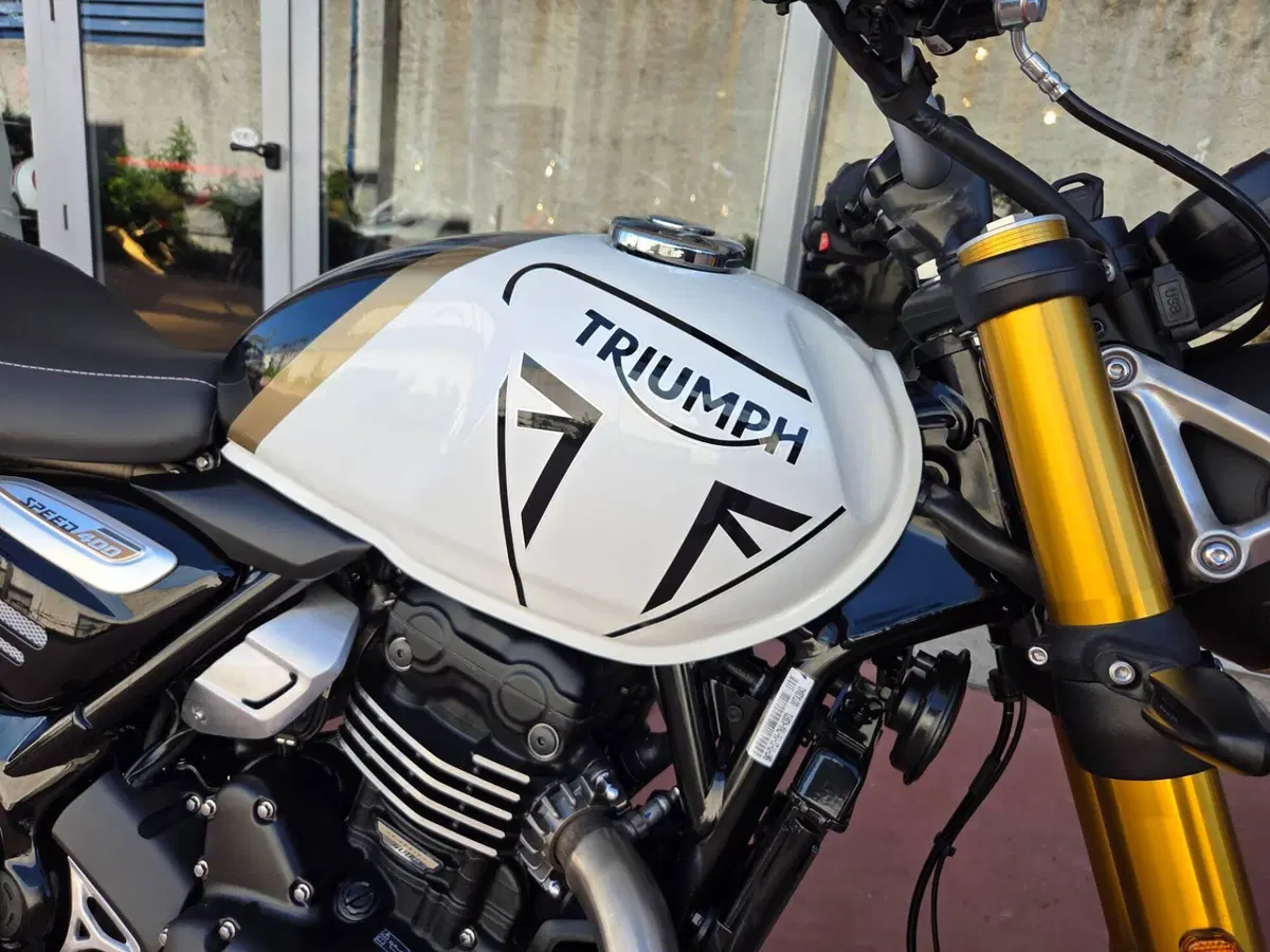Triumph Speed 400 (2024 - 26) (12)