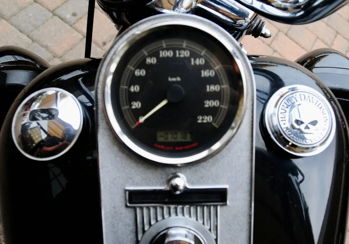 Harley-Davidson 1584 Road King (2006 - 07) - FLHR (11)