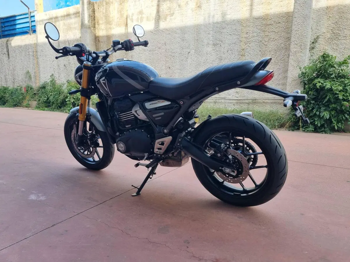 Triumph Speed 400 (2024 - 26) (5)