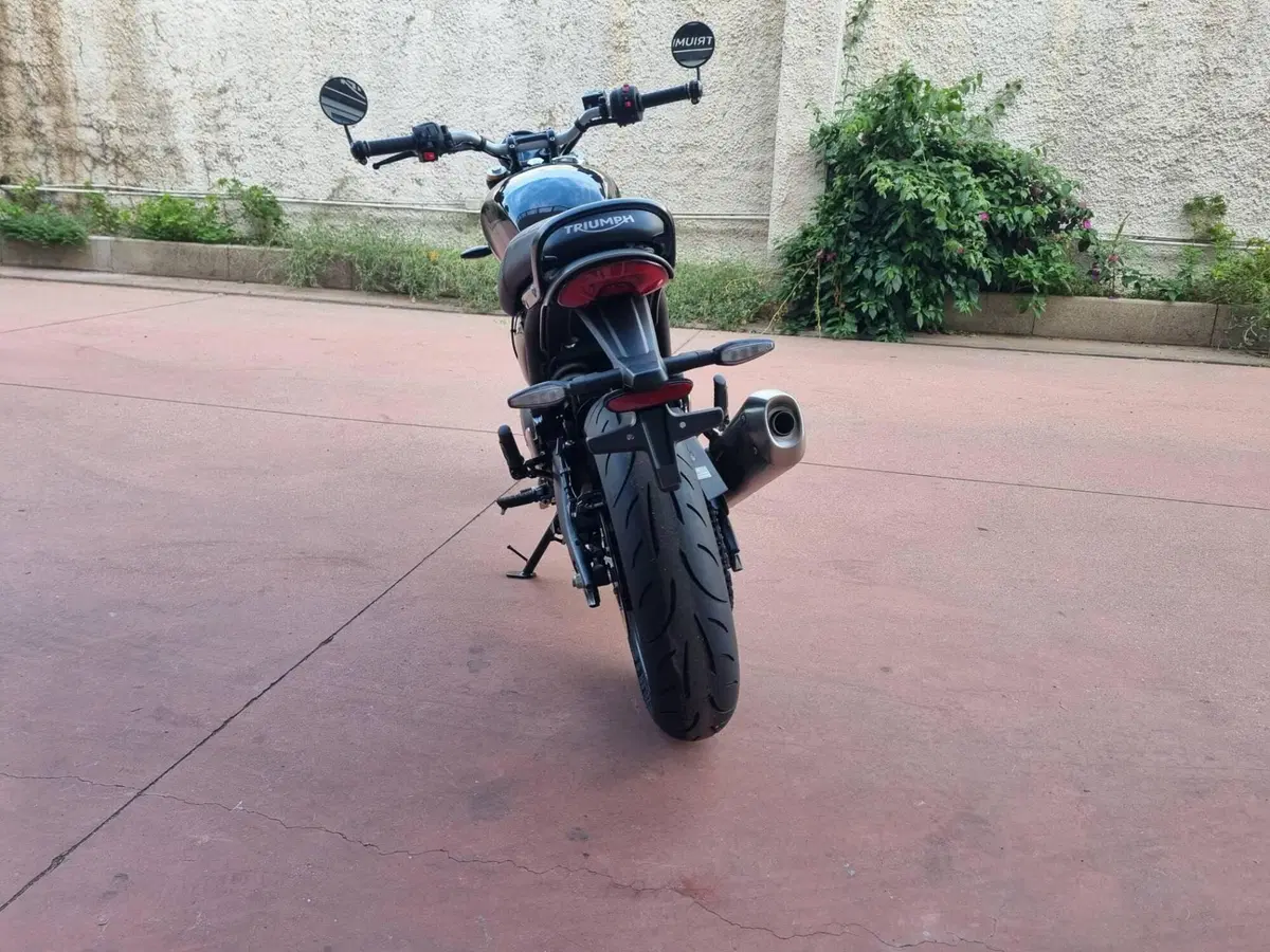 Triumph Speed 400 (2024 - 26) (9)