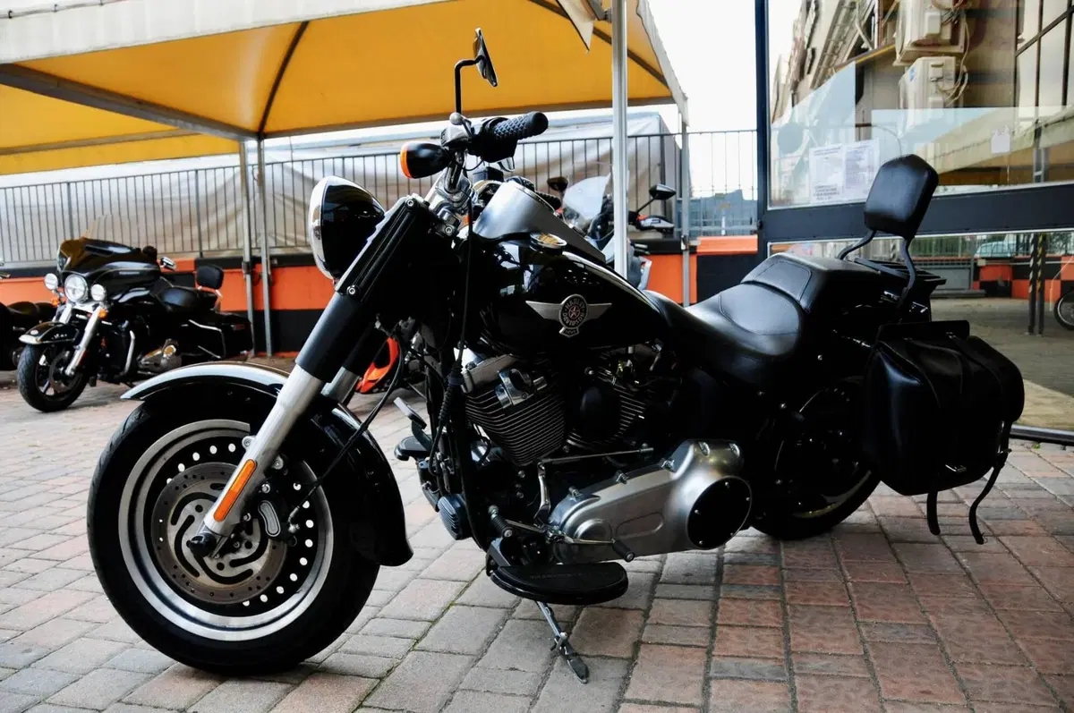 Harley-Davidson 1690 Fat Boy Special (2010 - 17) - FLSTF (5)