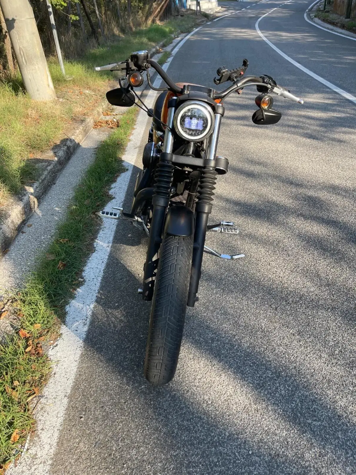 Harley-Davidson 1200 Roadster (2006 - 08) - XL 1200R (2)