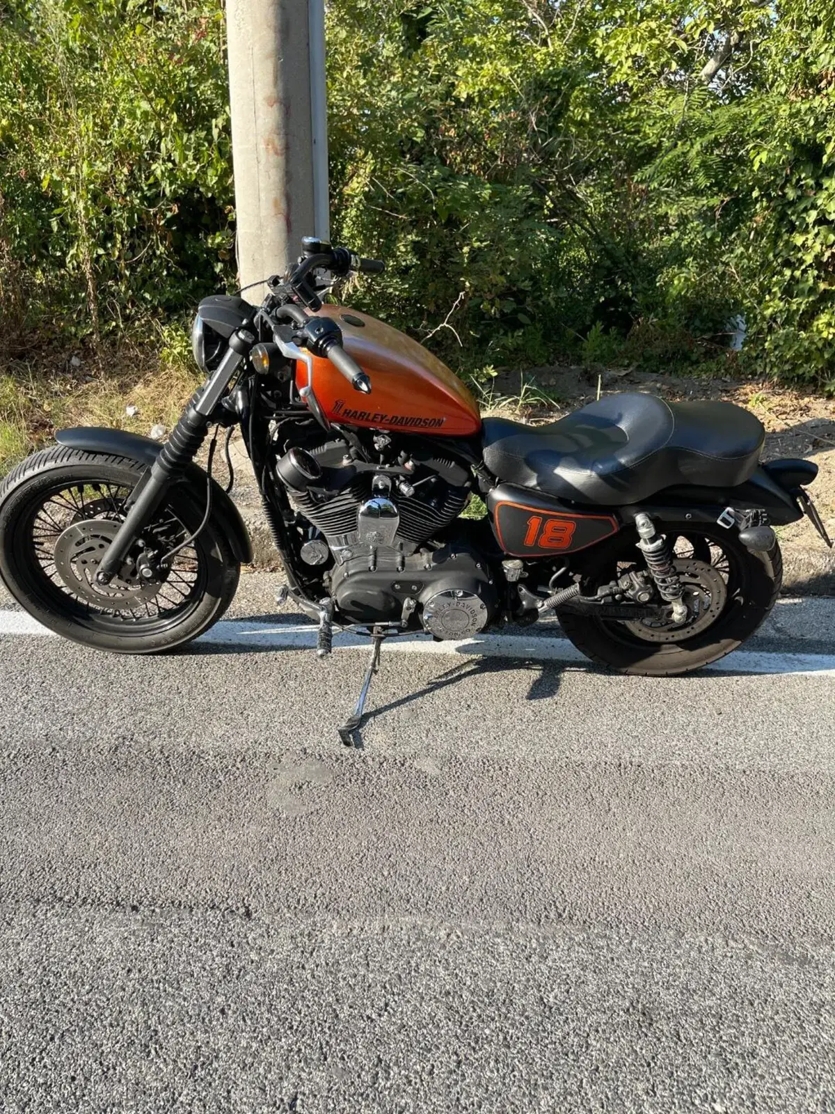 Harley-Davidson 1200 Roadster (2006 - 08) - XL 1200R (3)