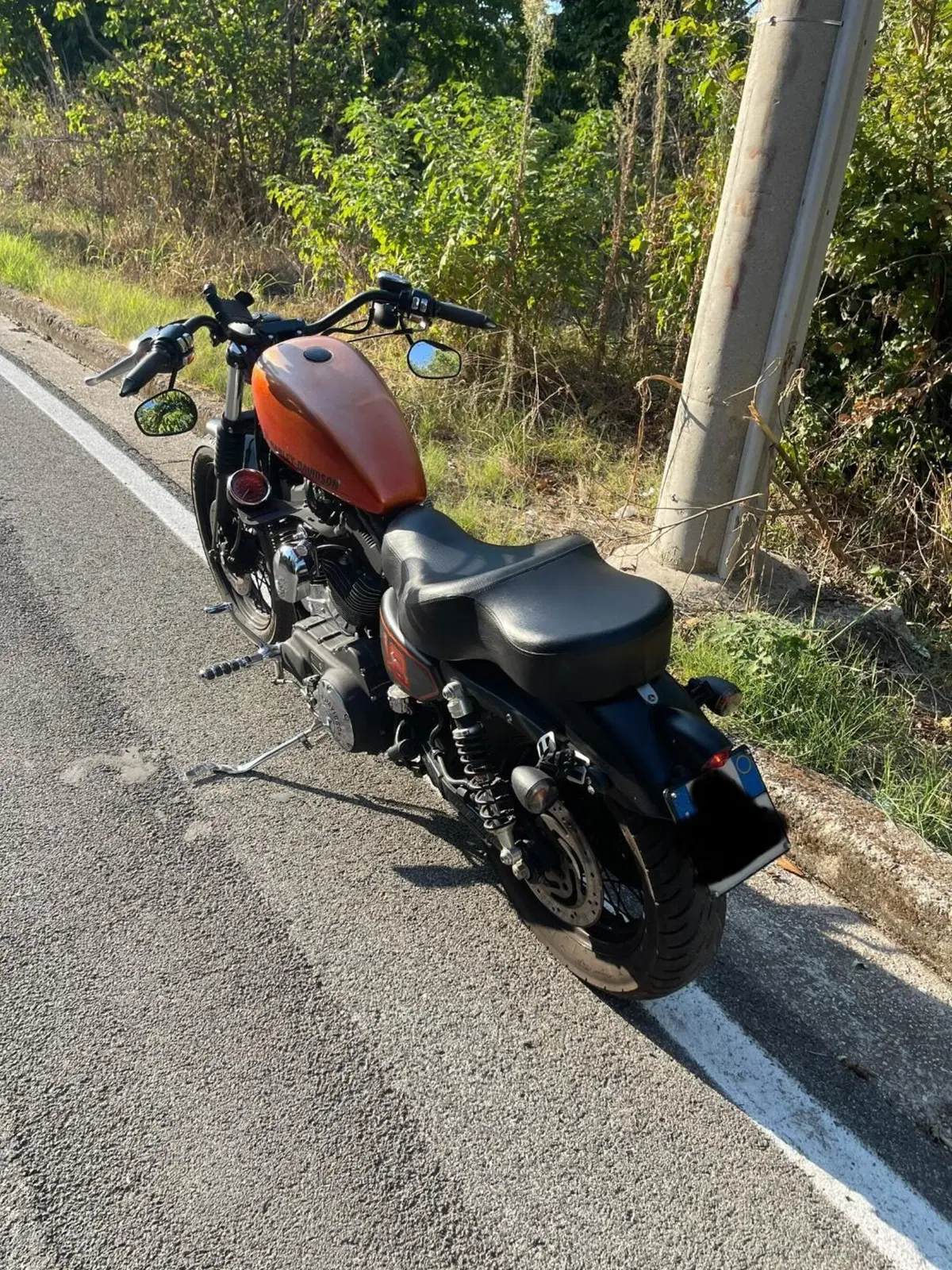 Harley-Davidson 1200 Roadster (2006 - 08) - XL 1200R (4)