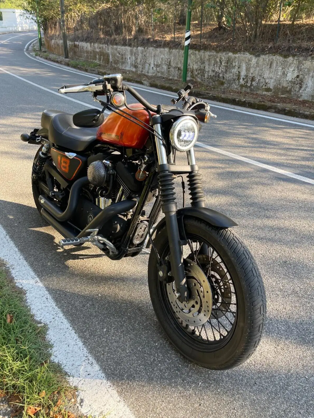 Harley-Davidson 1200 Roadster (2006 - 08) - XL 1200R (5)