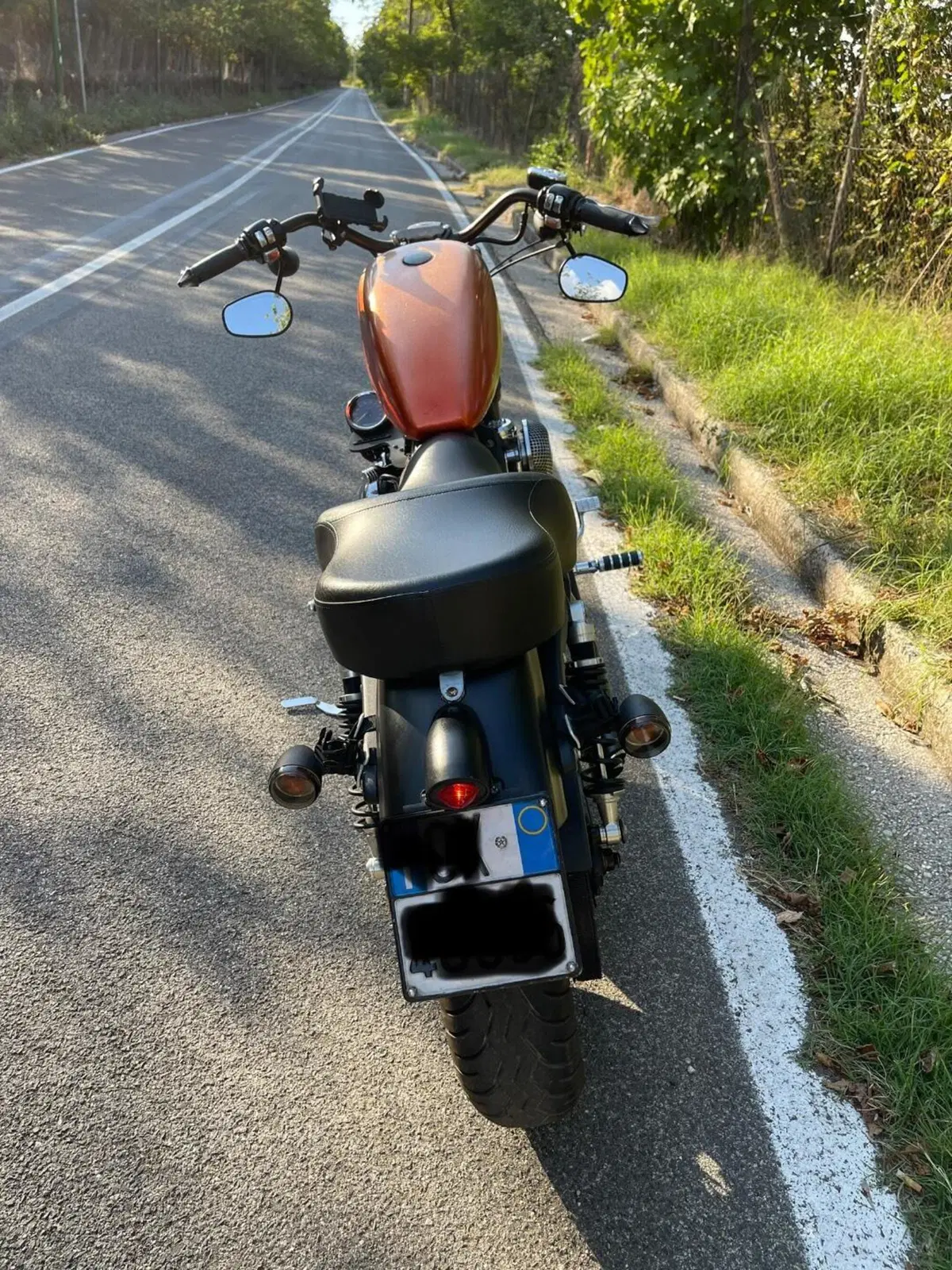 Harley-Davidson 1200 Roadster (2006 - 08) - XL 1200R (7)