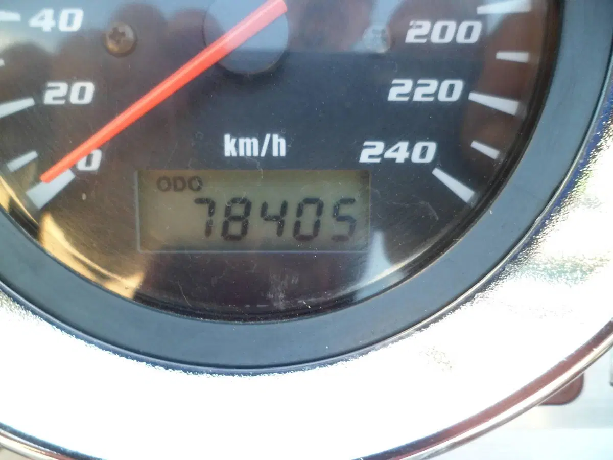 Suzuki GSF 600 Bandit (2000 - 05) (8)