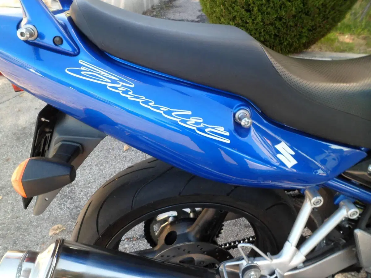 Suzuki GSF 600 Bandit (2000 - 05) (9)