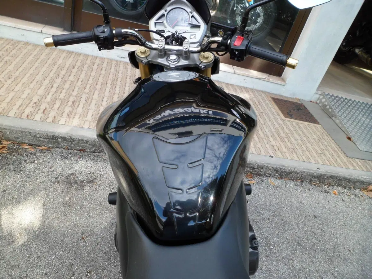 Honda Hornet 600 (2007 - 10) (6)