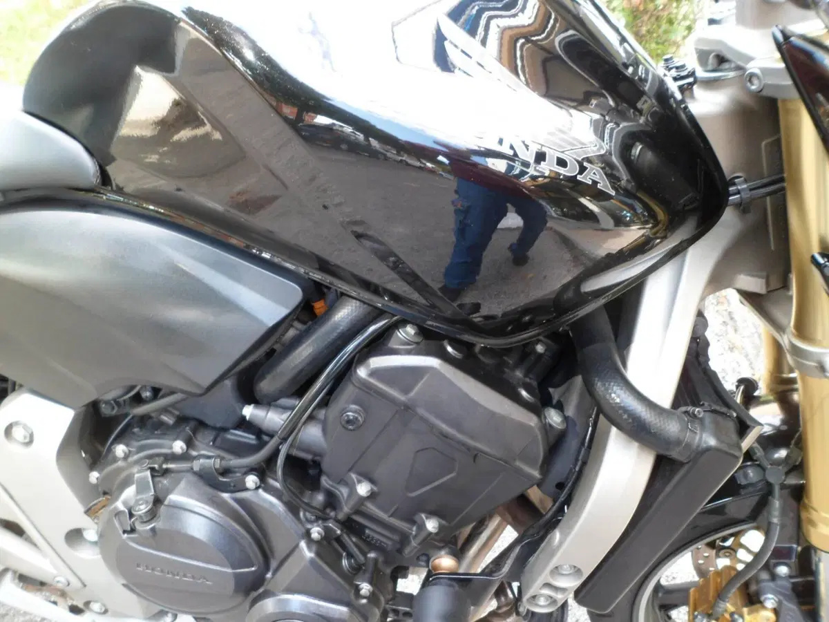 Honda Hornet 600 (2007 - 10) (10)