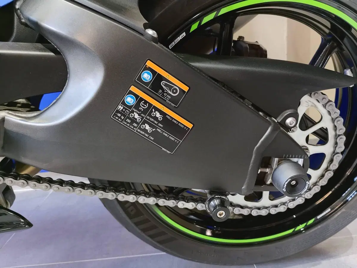 Kawasaki Ninja 636 ZX-6R (2024 - 26) (9)
