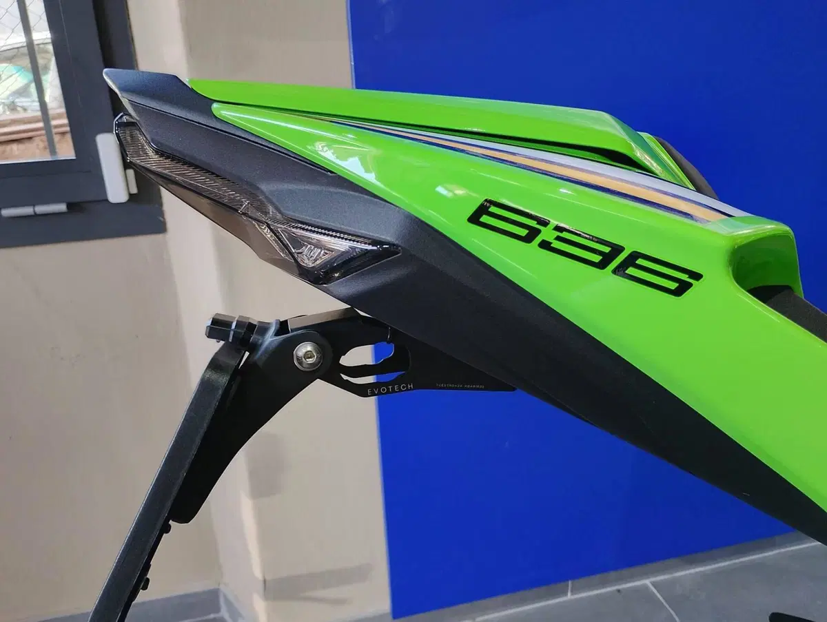 Kawasaki Ninja 636 ZX-6R (2024 - 26) (11)