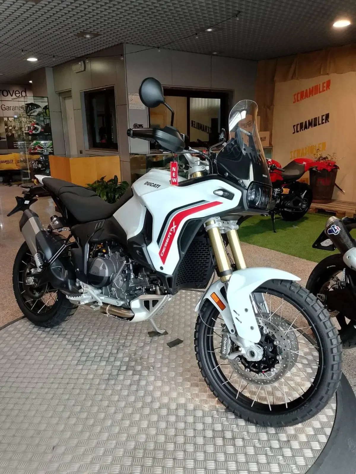 Ducati DesertX (2026)