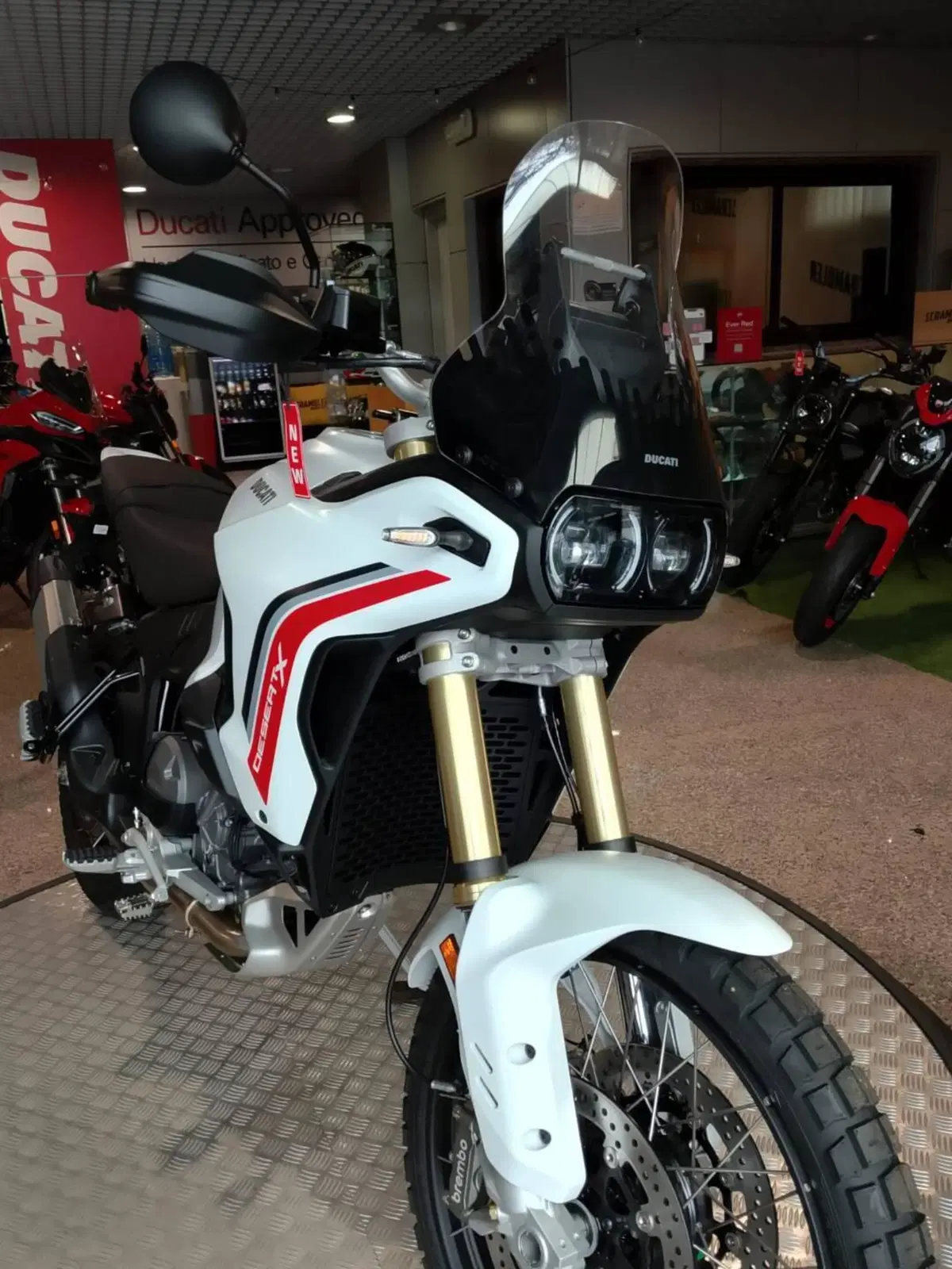 Ducati DesertX (2026) (2)