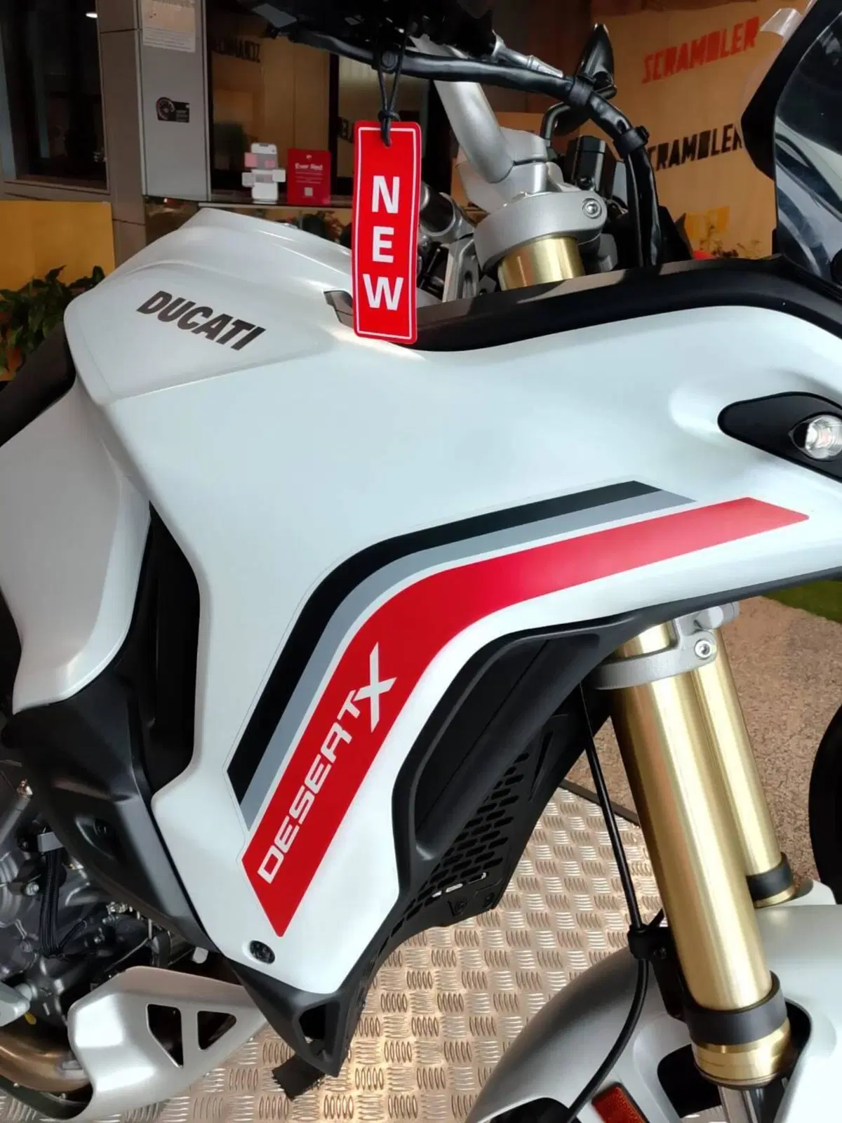 Ducati DesertX (2026) (3)