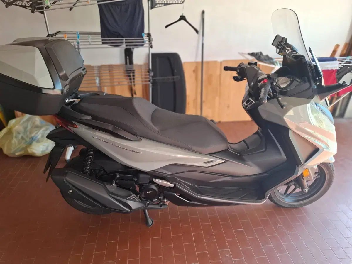 Honda Forza 350 Deluxe (2022 - 24) (2)