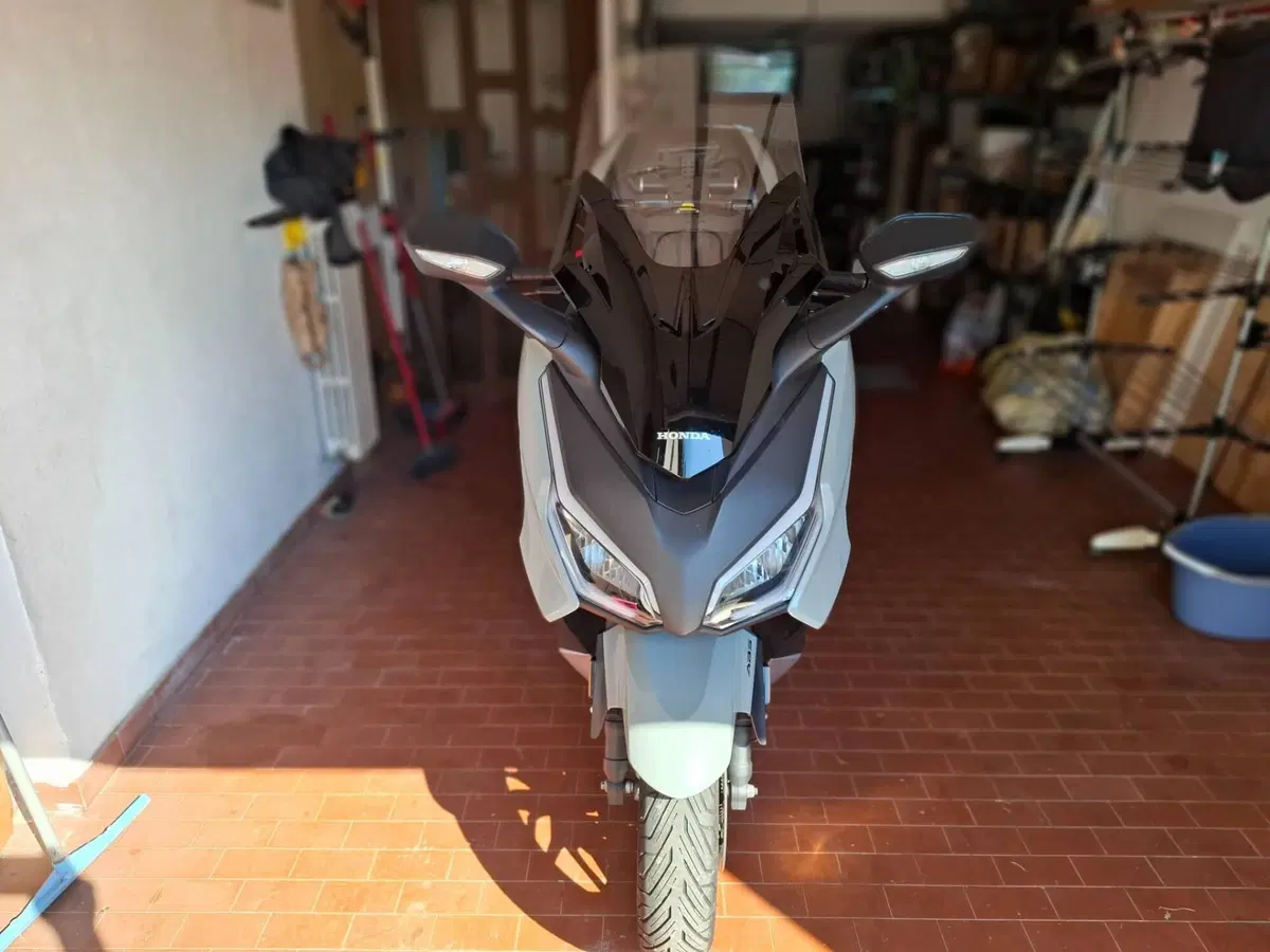 Honda Forza 350 Deluxe (2022 - 24) (3)