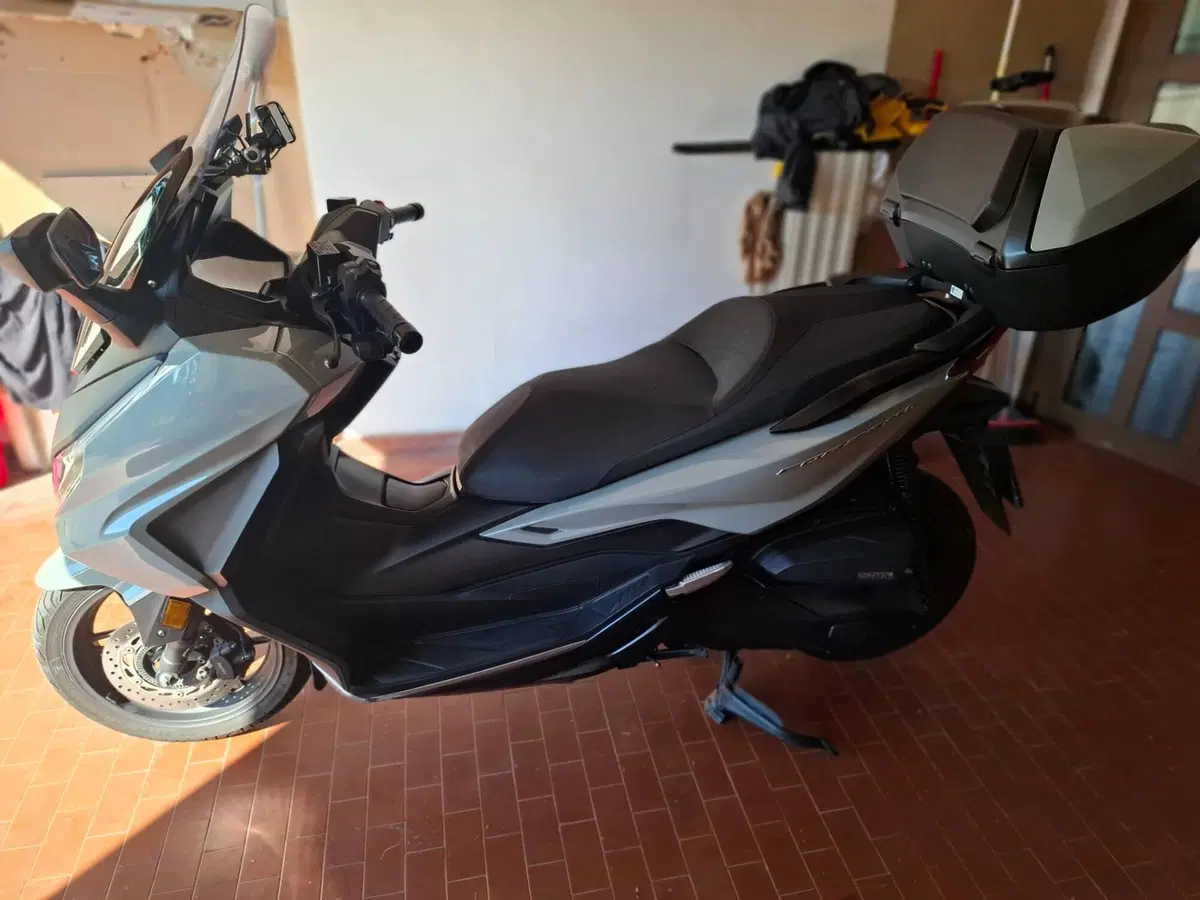 Honda Forza 350 Deluxe (2022 - 24) (4)
