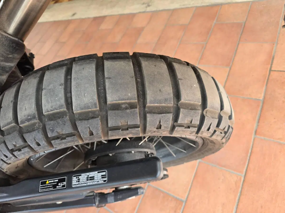 Benelli Leoncino 800 Trail (2022 - 26) (8)