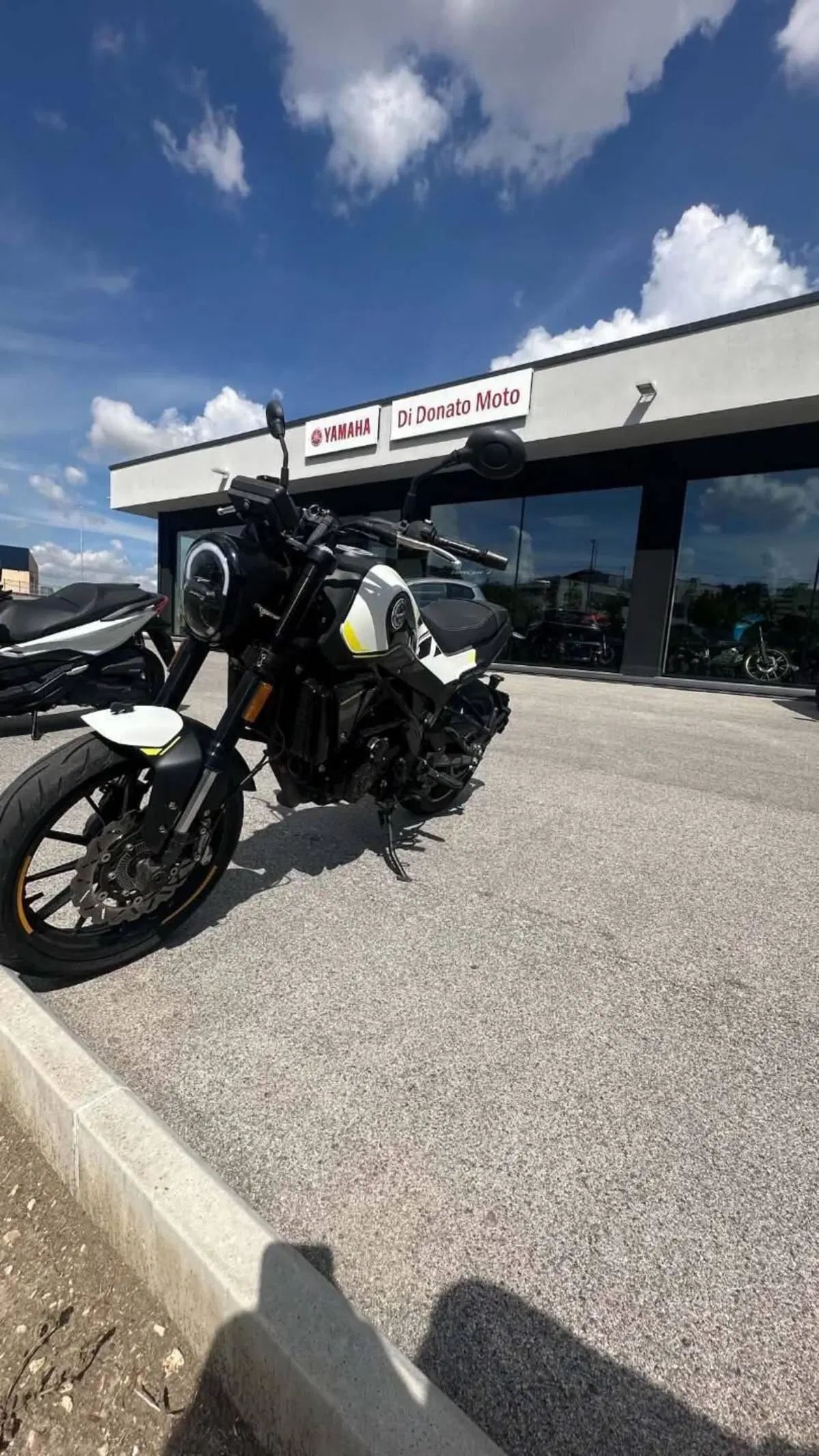 Benelli Leoncino 250 (2021 - 25) (5)