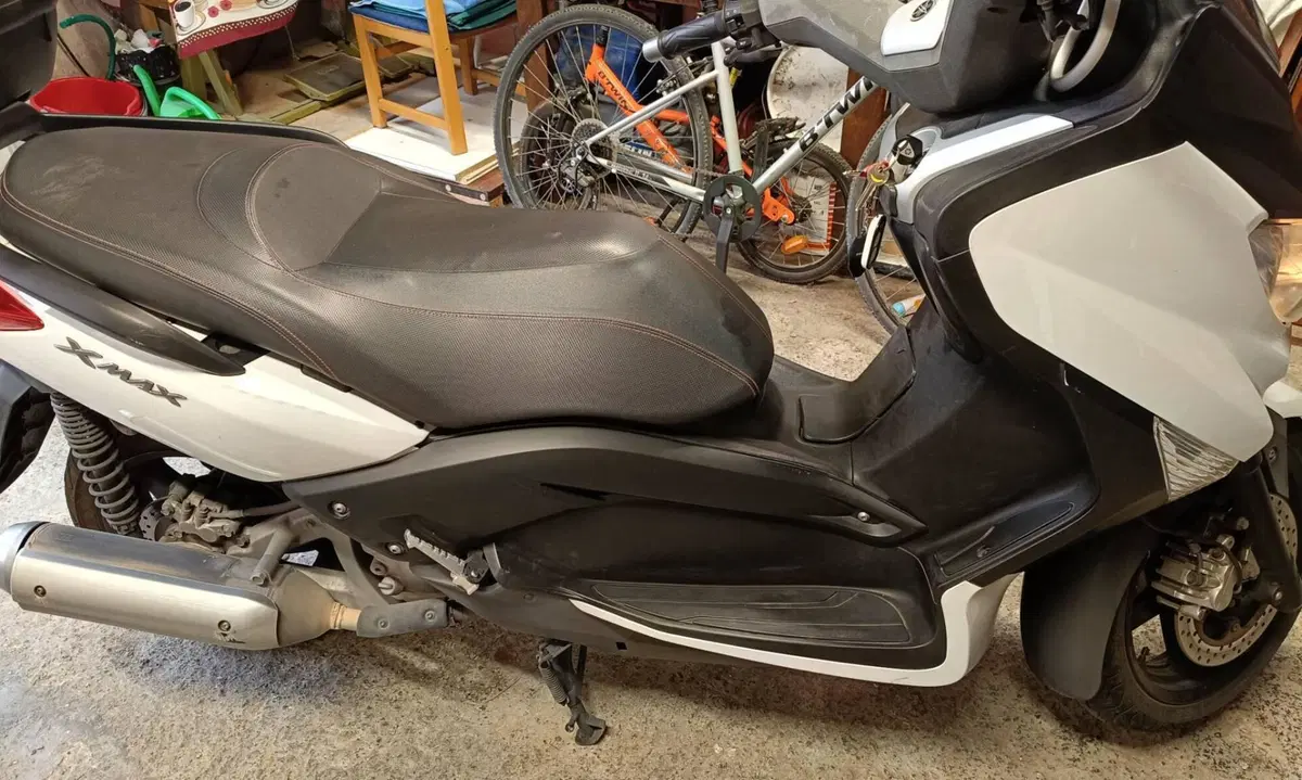 Yamaha X-Max 250 (2010 - 13) (2)