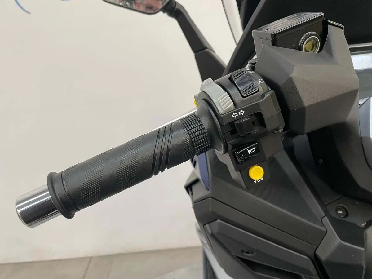 Sym Cruisym 300 (2021 - 24) (8)