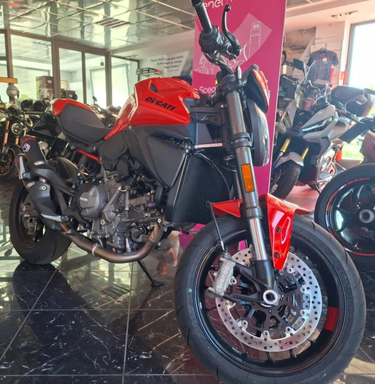 Ducati Monster 890 + (2026) (8)