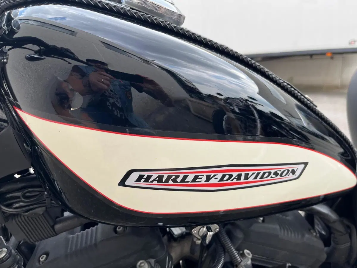 Harley-Davidson 1200 Roadster (2006 - 08) - XL 1200R (5)